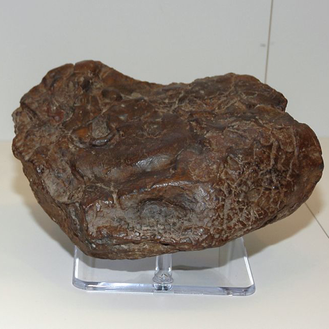 Meteorite Testing Analysis And Identification at Brian Ladd blog